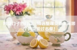 网贷口子热门篇：精选整理负债太高哪个网贷能过名单！