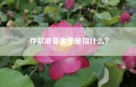 存款准备金率是指什么？
