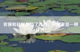 农保和社保都交了咋办，只能享受一种待遇！