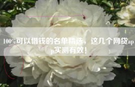 100%可以借钱的名单精选，这几个网贷app实测有效！
