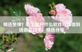 精选整理！几个黑户什么软件可以借到钱借款口子，精选分享