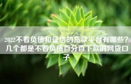 2022不看负债和征信的贷款平台有哪些？几个都是不看负债百分百下款的网贷口子