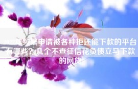 2022年频繁申请被各种拒还能下款的平台有哪些？几个不查征信花负债立马下款的网贷