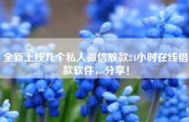全新上线几个私人微信放款24小时在线借款软件，分享！