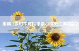 刚满18岁可不可以申请小额无抵押贷款？