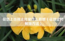 征信上出现止付是什么意思（征信止付解除方法）
