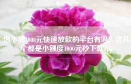借小额1000元快速放款的平台有吗？这几个都是小额度1000元秒下款app
