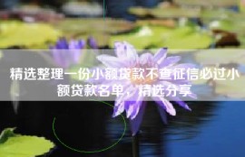 精选整理一份小额贷款不查征信必过小额贷款名单，精选分享