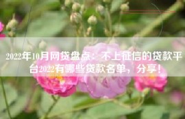 2022年10月网贷盘点：不上征信的贷款平台2022有哪些贷款名单，分享！