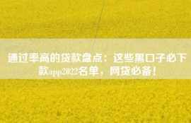 通过率高的贷款盘点：这些黑口子必下款app2022名单，网贷必备！