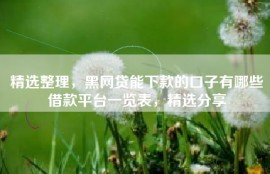精选整理，黑网贷能下款的口子有哪些借款平台一览表，精选分享