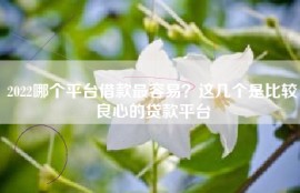 2022哪个平台借款最容易？这几个是比较良心的贷款平台