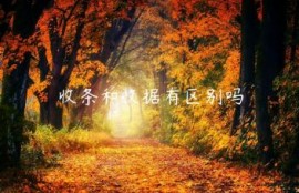 收条和收据有区别吗