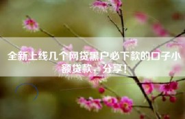 全新上线几个网贷黑户必下款的口子小额贷款，分享！