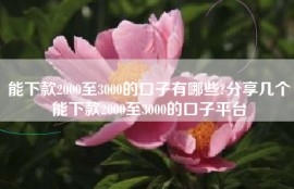 能下款2000至3000的口子有哪些?分享几个能下款2000至3000的口子平台
