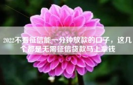 2022不看征信能一分钟放款的口子，这几个都是无需征信贷款马上拿钱