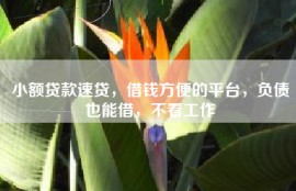 小额贷款速贷，借钱方便的平台，负债也能借，不看工作