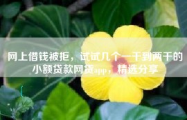 网上借钱被拒，试试几个一千到两千的小额贷款网贷app，精选分享