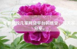 考察试投几家网贷平台的感受，与大家分享。