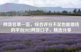 网贷名单一览，综合评分不足也能借钱的平台2022网贷口子，精选分享