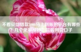 不看征信借款5000马上到账的平台有哪些？几个免审核秒下款的网贷口子