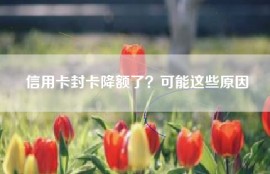 信用卡封卡降额了？可能这些原因