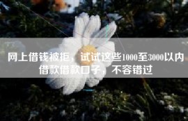 网上借钱被拒，试试这些1000至3000以内借款借款口子，不容错过