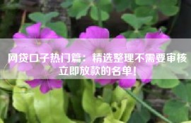 网贷口子热门篇：精选整理不需要审核立即放款的名单！