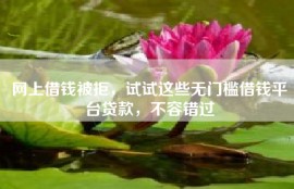 网上借钱被拒，试试这些无门槛借钱平台贷款，不容错过