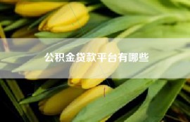 公积金贷款平台有哪些