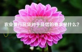 农业银行房贷对于征信的要求是什么？