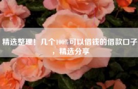 精选整理！几个100%可以借钱的借款口子，精选分享