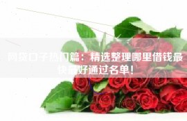 网贷口子热门篇：精选整理哪里借钱最快最好通过名单！