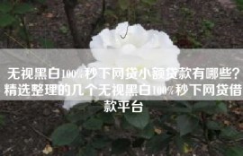 无视黑白100%秒下网贷小额贷款有哪些？精选整理的几个无视黑白100%秒下网贷借款平台