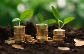 2024秒批的贷款APP有哪些？秒批没有、有五个快速放款的APP