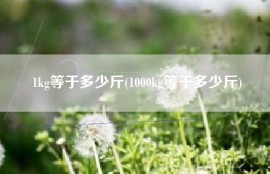 1kg等于多少斤(1000kg等于多少斤)
