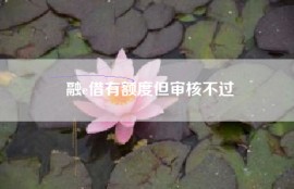融e借有额度但审核不过