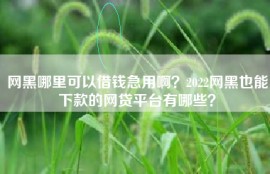 网黑哪里可以借钱急用啊？2022网黑也能下款的网贷平台有哪些？
