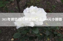 2021年微信有几种借钱方法,1000元小额借钱