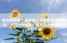 有按揭房两个月或者任意信用卡6个月就来，人均20000起批，近期不少老哥反馈下款不错