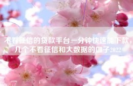 不看征信的贷款平台一分钟快速能下款，几个不看征信和大数据的口子2022