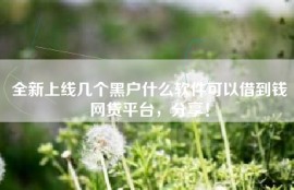 全新上线几个黑户什么软件可以借到钱网贷平台，分享！