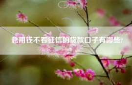 急用钱不看征信的贷款口子有哪些?