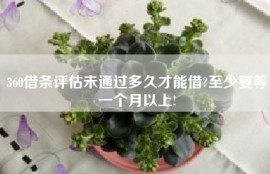 360借条评估未通过多久才能借?至少要等一个月以上!