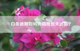 白条逾期如何协商晚些天还款？
