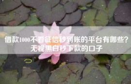借款1000不看征信秒到账的平台有哪些？无视黑白秒下款的口子