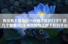 有没有不看征信一分钟下款的口子？这几个都是2022无视风控晚上秒下款的平台
