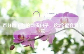 百分百下款的网贷口子，这5个很容易下款
