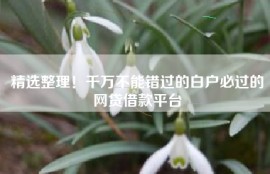 精选整理！千万不能错过的白户必过的网贷借款平台