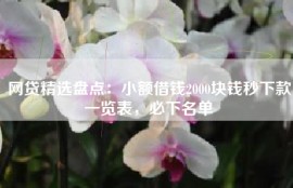 网贷精选盘点：小额借钱2000块钱秒下款一览表，必下名单